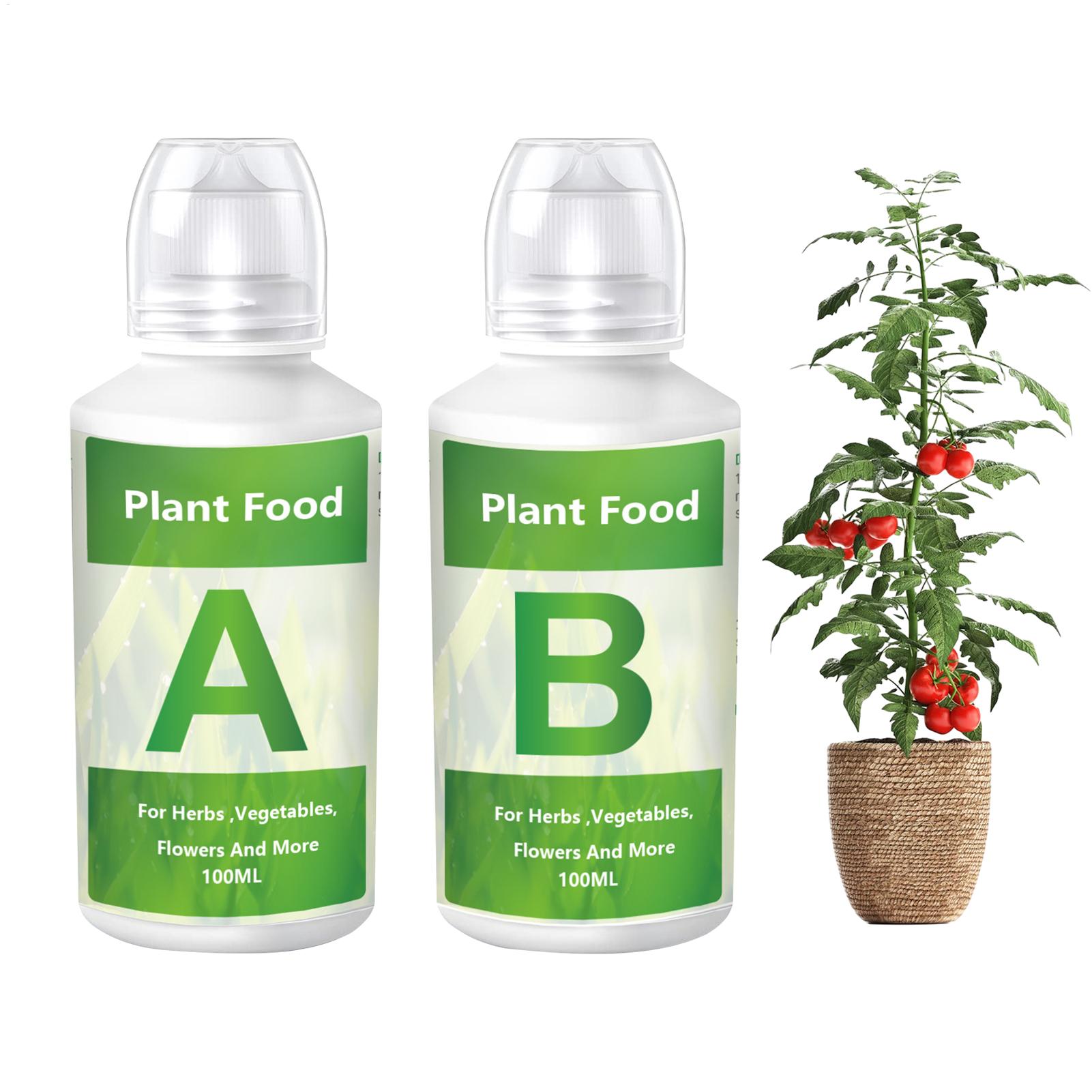 Nutrient Solution Ab - Set di fertilizzanti idroponici soluzione AB,