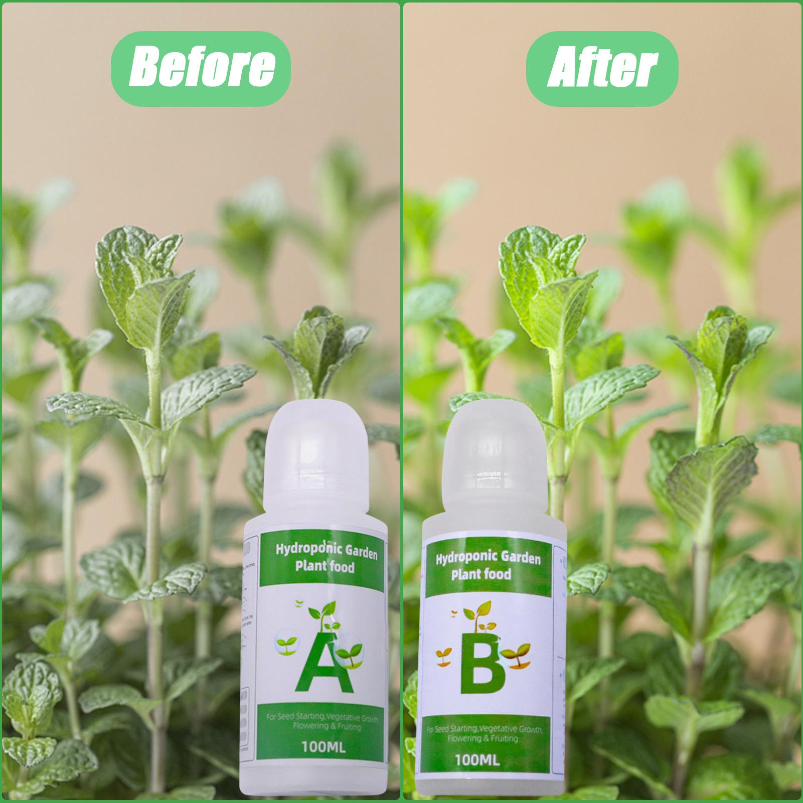 Set di fertilizzanti idroponic - Nutrient Solution Ab recensione e prezzo