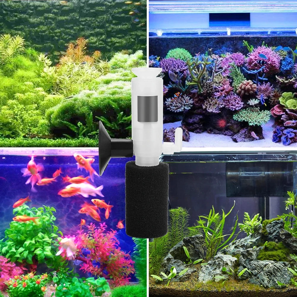 Acquario piccolo filtro pneuma - Air Stone Diffuser recensione e prezzo