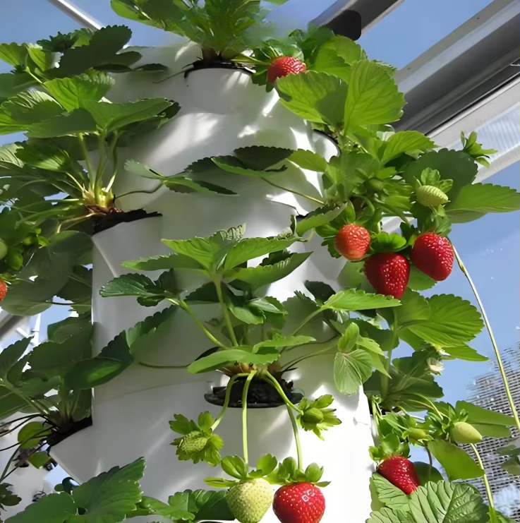 Sistema modulare idroponico a  - Urban Farming Garden recensione e prezzo