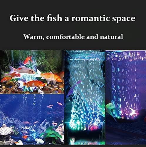 Luce a Bolle per Acquario 9/12 - Air Stone Diffuser recensione e prezzo