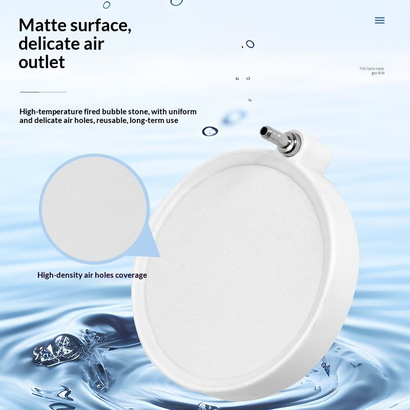 Pietra porosa Nano Disc per os - Air Stone Diffuser recensione e prezzo