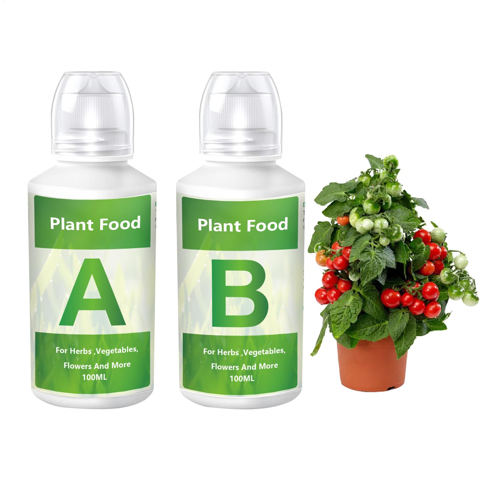 Set di fertilizzanti idroponic - Nutrient Solution Ab recensione e prezzo