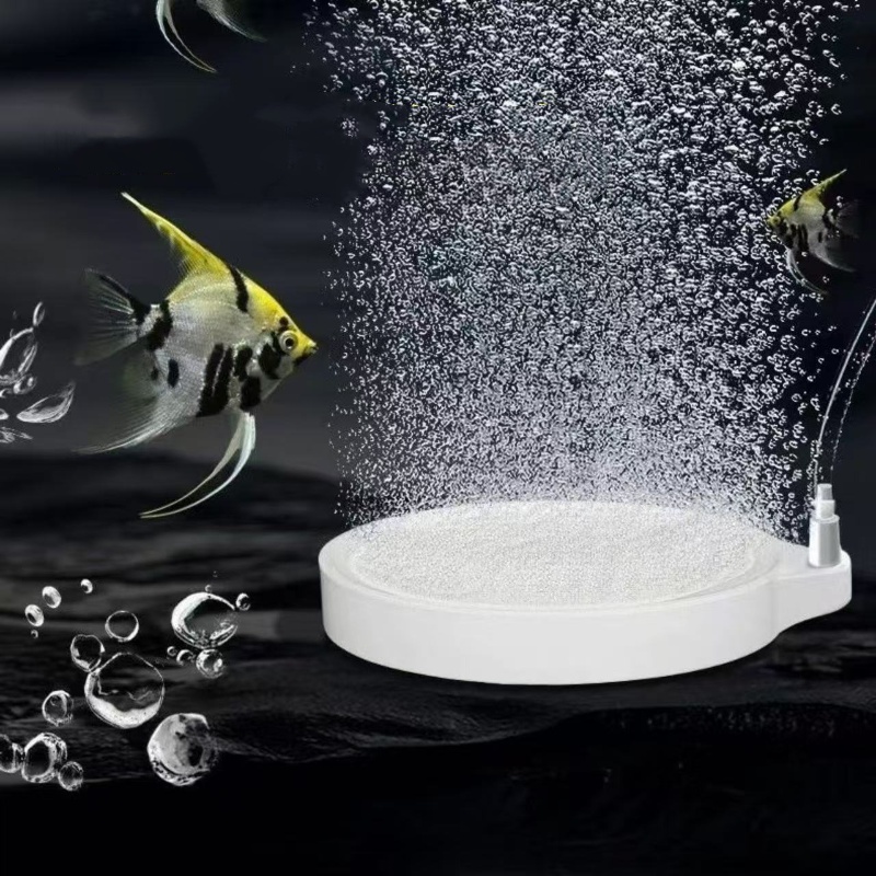 Pietra porosa Nano Disc per os - Air Stone Diffuser recensione e prezzo